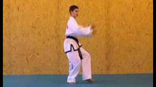 ITF TaekwonDo Patterns 2 of 14 Saju Makgi [upl. by Leftwich]