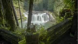 Visit Your Pacific Northwest National Forest [upl. by Nola879]