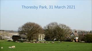 Thoresby Park 31st march 2021 [upl. by Samford268]