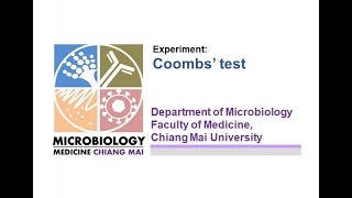 การทดลองที่ 51 Direct and Indirect Coombs test New [upl. by Junie461]