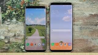 Samsung Galaxy S8 vs S8 Plus Which One Should You Buy amp Why [upl. by Katherin]