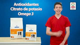 Hills Prescription Diet perros Urinary Care CD  Agrocampo [upl. by Daigle]