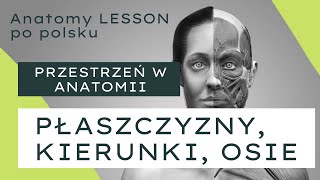 ANATOMY LESSON po polsku  1 Przestrzeń w anatomii  kierunki osie płaszczyzny [upl. by Esil]