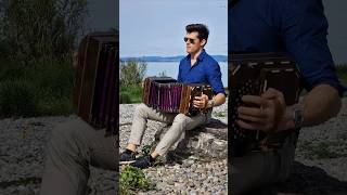 Hello Mary Lou youtubeshorts music bandoneon bandovalo rickynelson [upl. by Nelloc181]