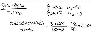 Calculations for a Pooled Proportion [upl. by Isadora]