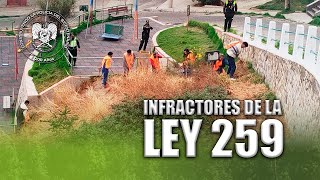 INFRACTORES DE LA LEY 259 [upl. by Alag]