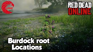 Burdock Root Locations RDR2 Online  Red Dead Online Burdock Root Location Guide [upl. by Hnaht]