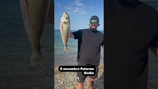 Palermo Surfcasting music surffishing fishing longcasting surfcasting pesca orata fish [upl. by Charry]