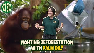 So Sus RSPOcertified Palm Oil [upl. by Airasor]