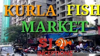 Kurla Fish Market Second Largest Aquarium Fish Market of India [upl. by Haskins]