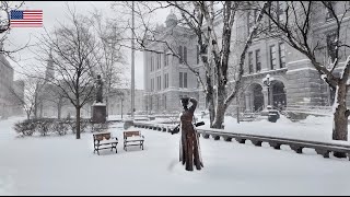 Buffalo NY Downtown ❄️ Winter Snow Walk after Winter Storm Lake Effect Snowfall [upl. by Viv807]