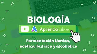 Fermentación láctica acética butírica y alcohólica [upl. by Pineda]