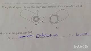 Biology form 2 revision Questions and Answers part 2 [upl. by Horwitz268]