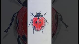 Bug 🪲drawing art sketch viral shots [upl. by Powe]