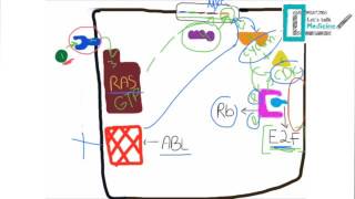 Molecular Basis of Carcinogenesis [upl. by Attenod10]