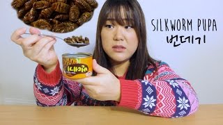 KOREANS EAT BEONDEGI  SILKWORM PUPA  번데기 먹어보기 [upl. by Berrie]