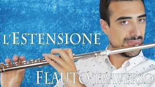 FLAUTO TRAVERSO  lestensione dello strumento [upl. by Eliezer731]