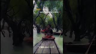 Oi Lal tuktuk sari pora maiya 😶‍🌫️  viralvideo bangladesh bengali banglasong trending shorts [upl. by Leoni]