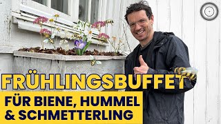 DIY  BLUMENKASTEN für Hummeln zum Nachmachen 🐝 🦋 Hilf Hummeln auf der Fensterbank und am Balkon [upl. by Nets776]