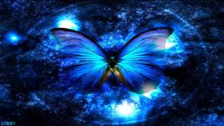 Altitude Music  Butterfly [upl. by Tempa391]