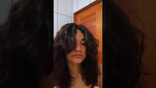 Finalizando meu cabelo SEM CREME  Será que deu certo [upl. by Annairba]