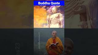 Buddha’s Most Profound Quotes and their meanings [upl. by Swope]