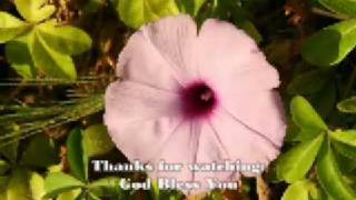 Nothing Impossible for me  Assadyamayenike Onnum  Malayalam Christian song from Kerala  India [upl. by Nil379]