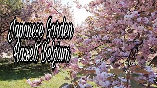 Japanese Garden Hasselt Belgium Part 2  JennyQ [upl. by Areis]