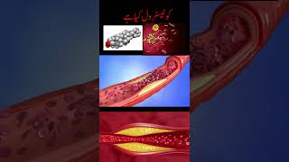 cholesterol kya hai  what is cholesterol in urdu  what is cholesterol in human body Health amp Care [upl. by Leotie]