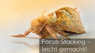 Focus Stacking  leicht gemacht [upl. by Devad27]