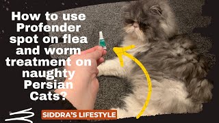 Profender Flea amp Worm Treatment for Cats Profender Flea Worm Treatment Cats [upl. by Arissa]