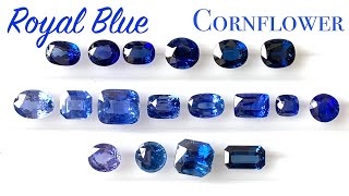 Royal blue or Cornflower Blue Sapphire Clarification and understanding color of sapphires [upl. by Pitt]