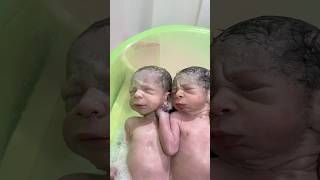 twins in first bath [upl. by Breban]