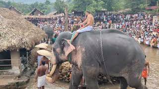 kottiyoor temple vaisakh utsav hindu temple kannur elephent seeveli [upl. by Emyaj]