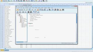 Test of normality and data transformation in SPSS [upl. by Nodnorb]