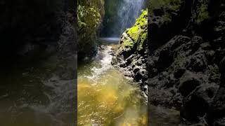 Cascada en el cerro de quitasol medellin [upl. by Merras]