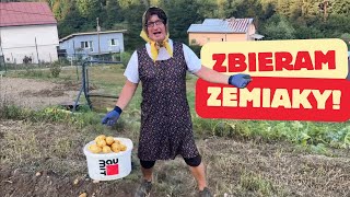 Babka Boženka zbiera zemiaky [upl. by Mendive]