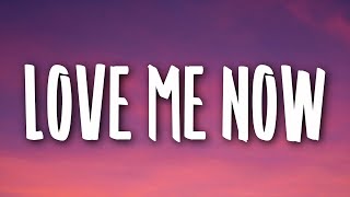 Kygo Zoe Wees  Love Me Now Lyrics [upl. by Ecela670]