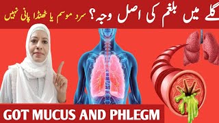 The 3 Causes Of Constant Mucus Phlegum In Your Throught Listen Your Body [upl. by Aniakudo]