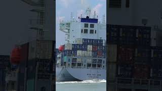 Sharp Turn of A Large Container Ship ship containerships shipspotting [upl. by Ateuqal]