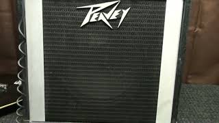 PEAVEY Pacer 100SS Guitar Amplifier quotDEMOquot [upl. by Atis]