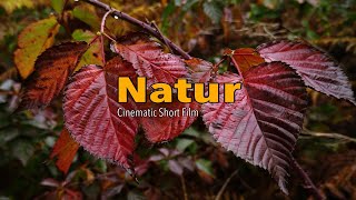 Natur  Cinematic Short Film  4K ProRes Log [upl. by Azne]