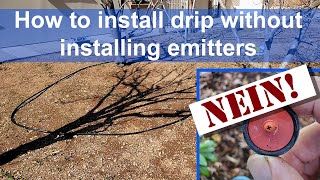 How to install a drip system without installing emitters [upl. by Ninos]