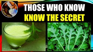 ROCKET LETTUCE JUICE  ROCKET LETTUCE JUICE RECIPE [upl. by Mond]