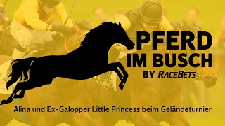 Pferd im Busch Alina und ExGalopper Little Princess beim Geländeturnier [upl. by Bonns]