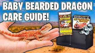 Baby Bearded Dragon Care Guide  How To Take Care of a Bearded Dragon [upl. by Warden]