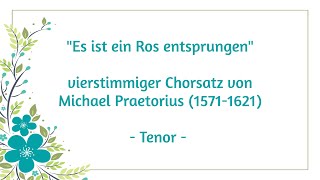 Es ist ein Ros entsprungen  Tenor [upl. by Aitrop]