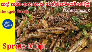 හාල්මැස්සෝ මෝජු  Sprats Recipe  Halmasso Recipes  Halmasso Moju  Halmasso Baduma  Sprats [upl. by Bigod]