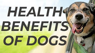 The Health Benefits of Dogs [upl. by Maighdlin506]