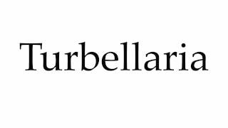 How to Pronounce Turbellaria [upl. by Johannah630]